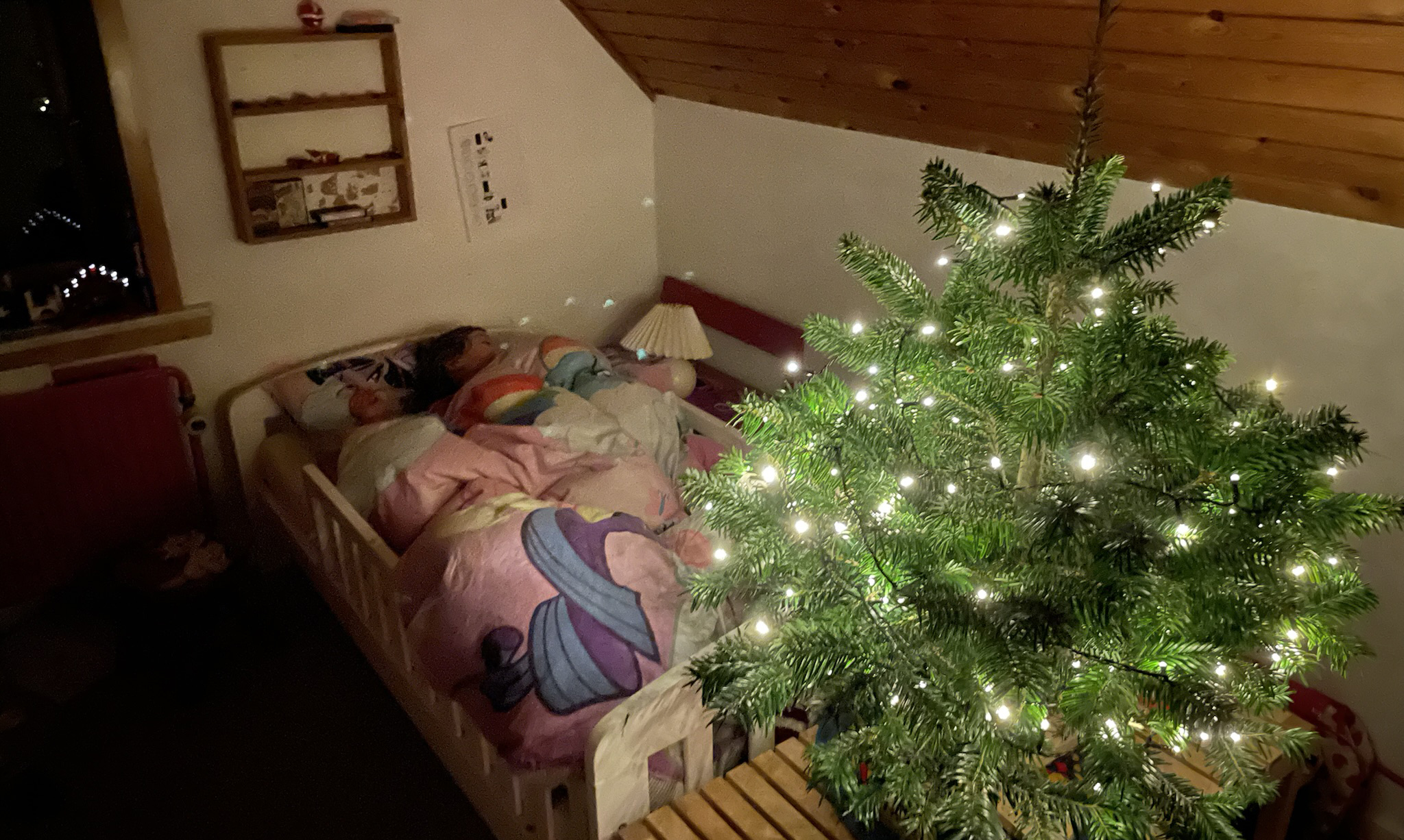 Nisselines juletræer – 15. december 2021